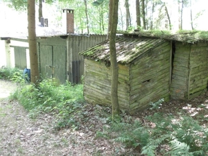 Montenau057 (Medium)
