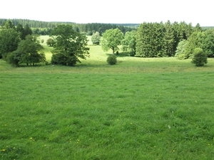 Montenau061 (Medium)