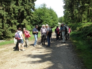 Montenau094 (Medium)