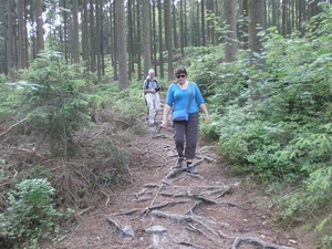 Montenau106 (Medium)