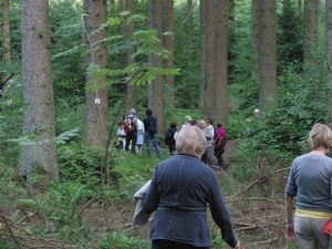 Montenau107 (Medium)