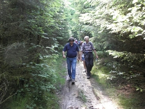 Montenau109 (Medium)