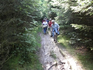 Montenau110 (Medium)
