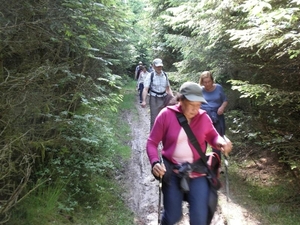 Montenau111 (Medium)