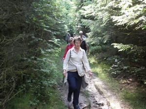 Montenau112 (Medium)