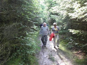 Montenau113 (Medium)