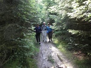 Montenau114 (Medium)