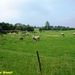 2009_06_28 Philippeville 16
