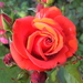 BILD0925