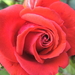 BILD0926