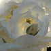 BILD0928