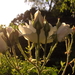 BILD0942