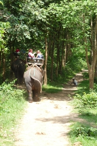 Thailand 2009 674