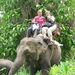 Thailand 2009 678