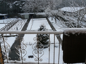 sneeuw 2008