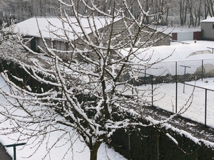 sneeuw 2008.4