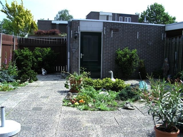 Afbeelding 006 (Small)