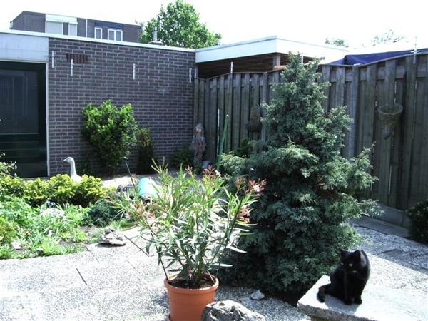 Afbeelding 007 (Small)