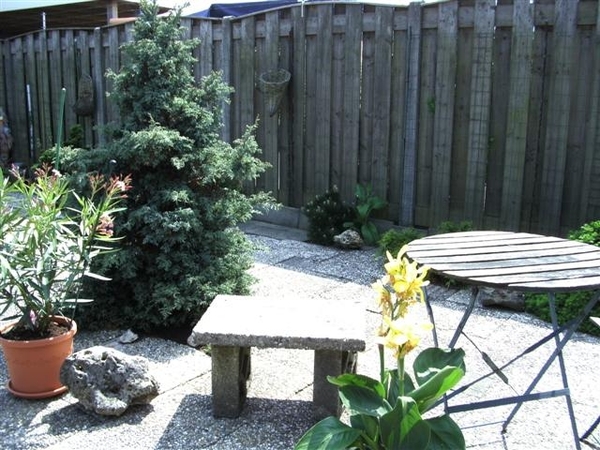 Afbeelding 018 (Small)