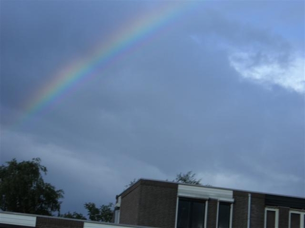 regenboog