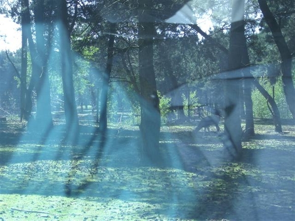 Beekse bergen 2 juni 2009 012 (Small)