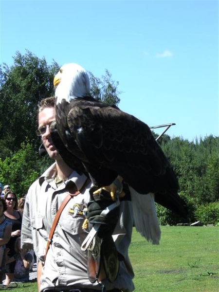 Beekse bergen 2 juni 2009 031 (Small)
