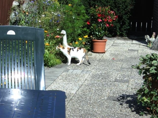 minousch  is hier iets