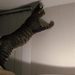 0 005 (Small)