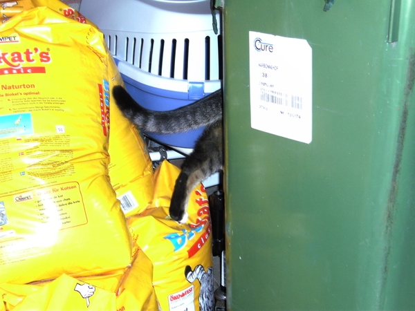 past net , adem in..