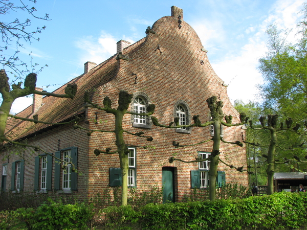 De leibomen zorgen nog niet voor schaduw