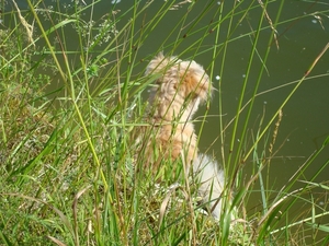 Frankrijk juni 2009 052