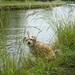Frankrijk juni 2009 058
