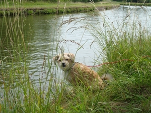 Frankrijk juni 2009 058