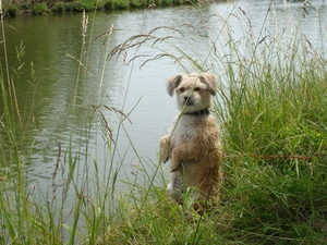 Frankrijk juni 2009 059