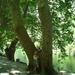 Frankrijk juni 2009 574