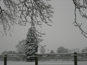 Winterbeelden