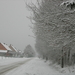 Winter in onze straat