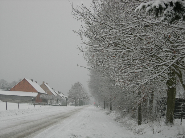 Winter in onze straat