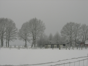 Winterlandschap