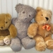 berenfamilie