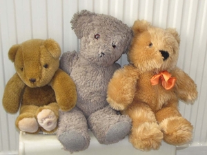 berenfamilie