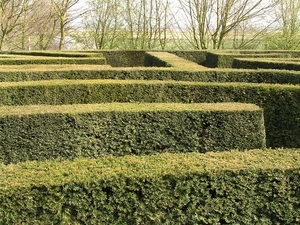 P4030321