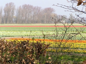 P4030327