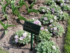 P4030349