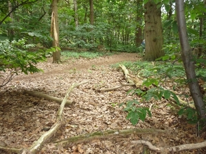 09.07.17.LOTENHULLE.IN PARK VAN POEKE