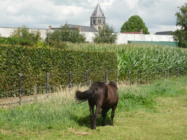 09.07.17.LOTENHULLE.DE KERK