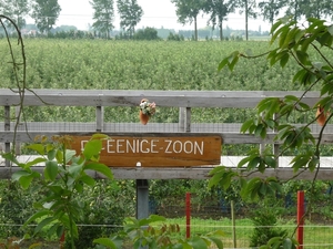 09.07.19.BOEKHOUTE.BRUG NAAR DE ZOON