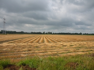 09.07.19.BOEKHOUTE.VLAS IS GESLETEN