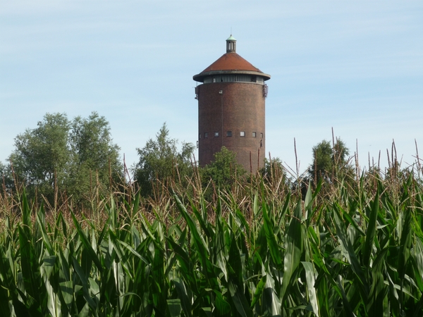 09.07.26.ZELZATE.DE WATERTOREN