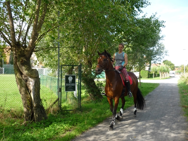 09.08.01.KNOKKE.DOET HET TE PAARD